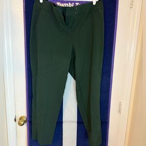 Lane Bryant
Green “The Allie Pants
Size 16